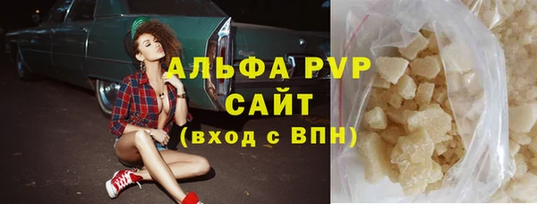 спиды Ельня