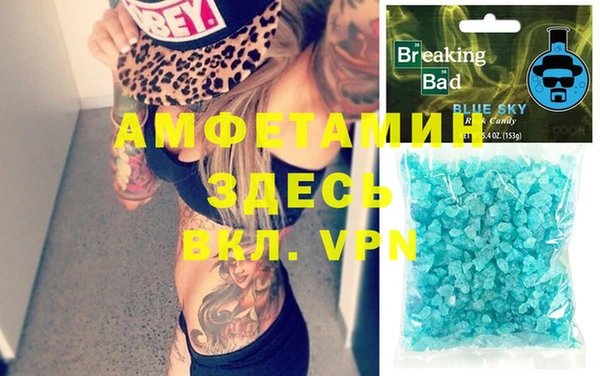 спиды Ельня