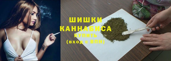 спиды Ельня
