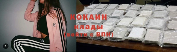 спиды Ельня