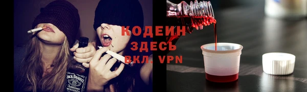 хмурый Елизово
