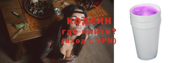 хмурый Елизово