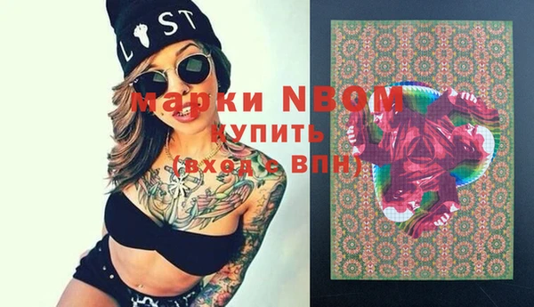 спиды Ельня