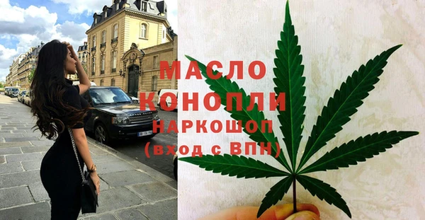 спиды Ельня