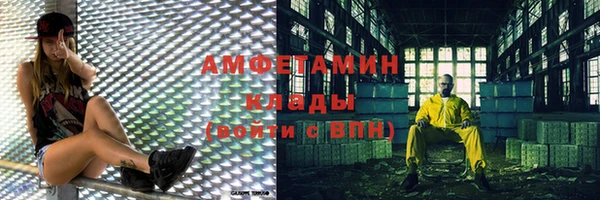 спиды Ельня