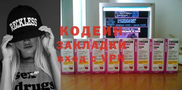 хмурый Елизово