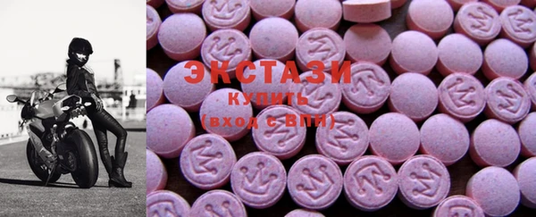 спиды Ельня