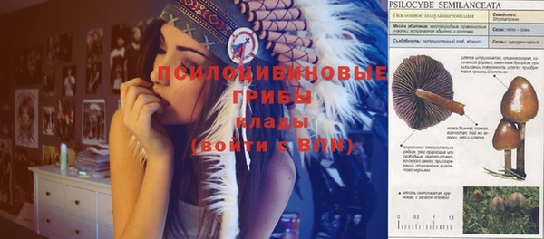 трава Елабуга