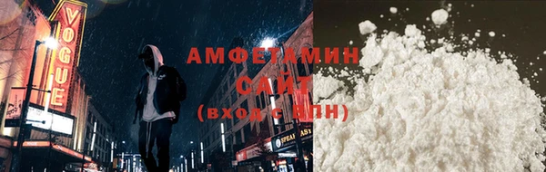 спиды Ельня