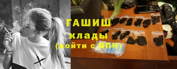 спиды Ельня