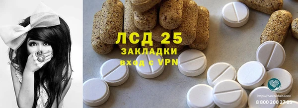 спиды Ельня