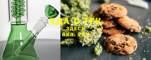 спиды Ельня