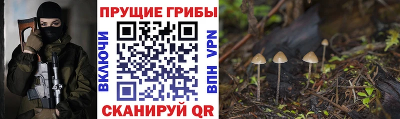 Псилоцибиновые грибы GOLDEN TEACHER  Купить  Долгопрудный
